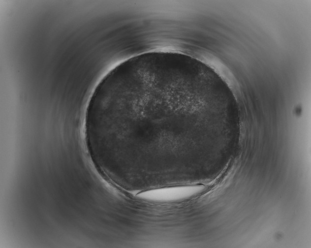 X0000102341331200808151719