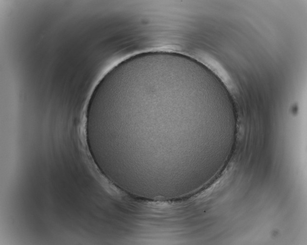 X0000102341332200808151719