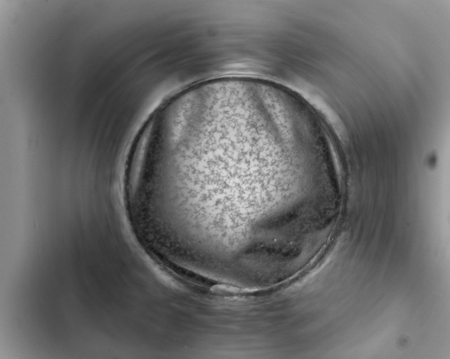 X0000102341333200808151719