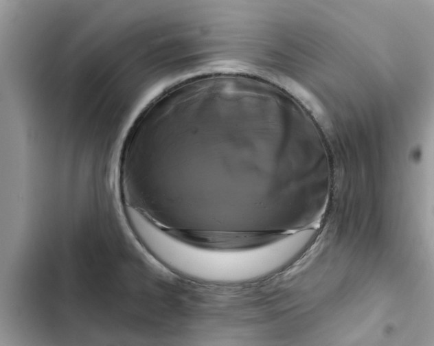 X0000102341334200808151719