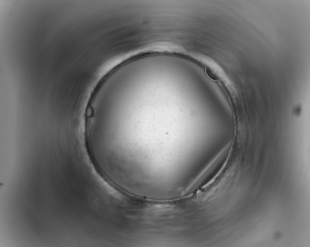 X0000102341335200808151719