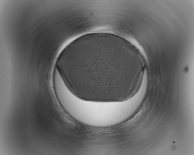 X0000102341336200808151719