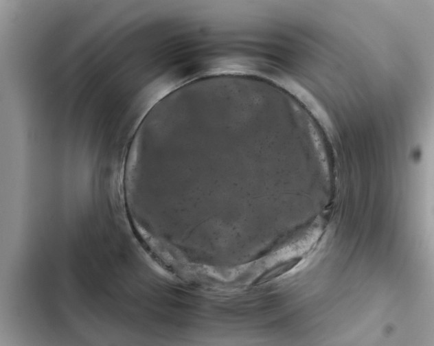 X0000102341337200808151719