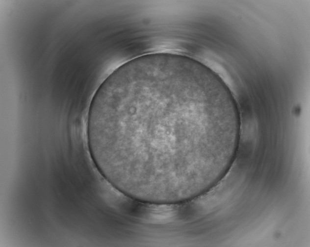 X0000102341338200808151719