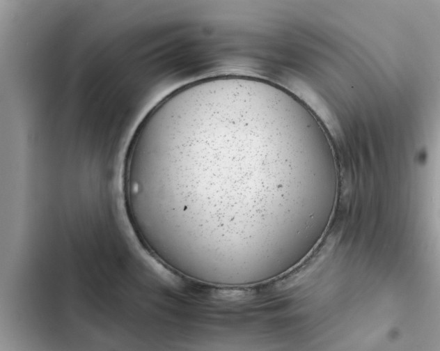 X0000102341339200808151719