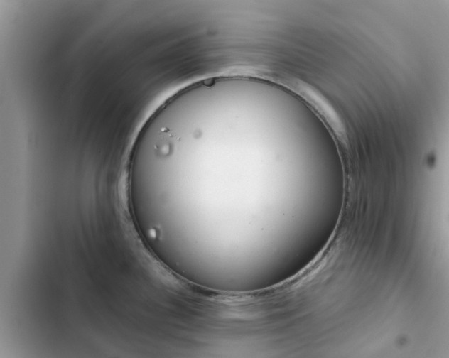 X0000102341340200808151719