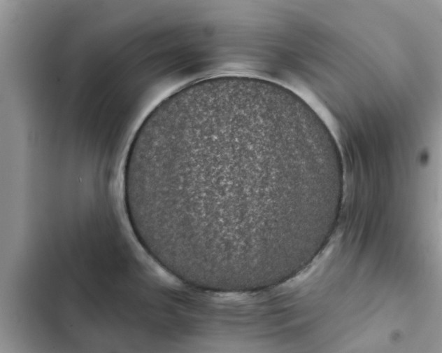 X0000102341341200808151719