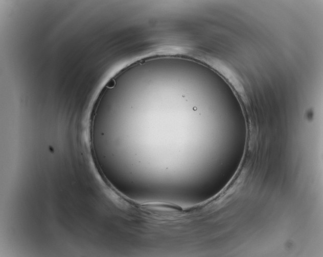 X0000102341342200808151719