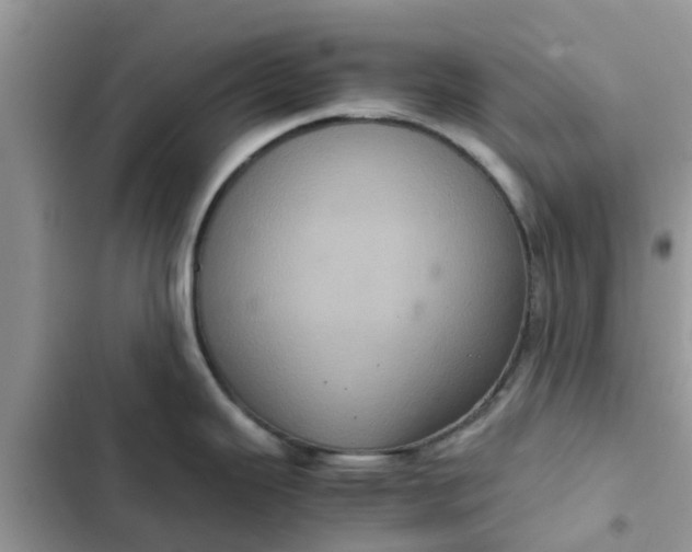 X0000102341343200808151719