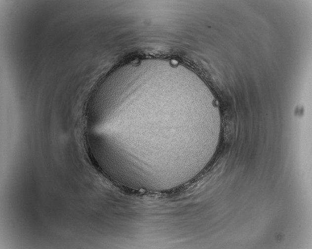 X0000102341345200808151719