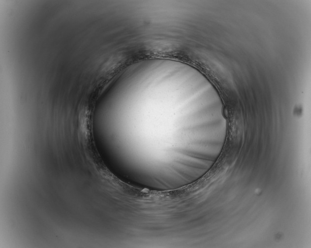 X0000102341346200808151718