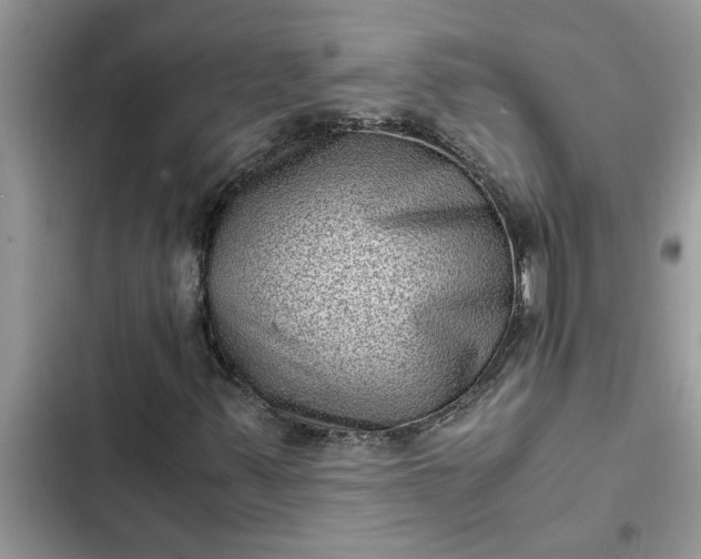 X0000102341347200808151718