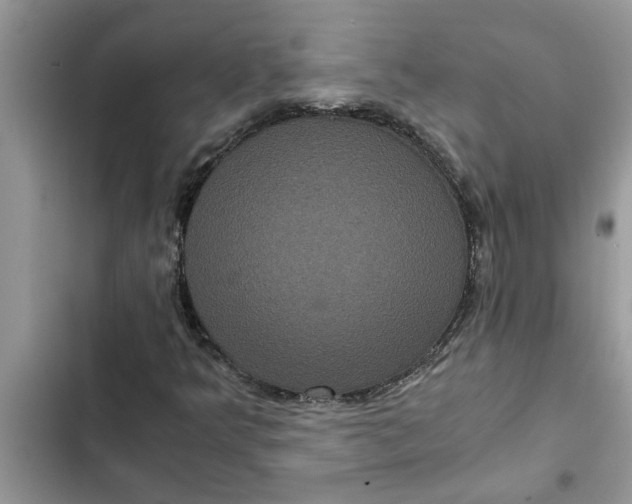 X0000102341349200808151718