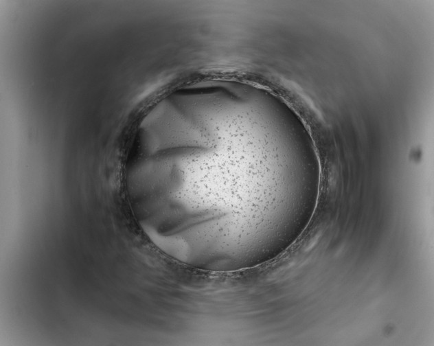 X0000102341350200808151718