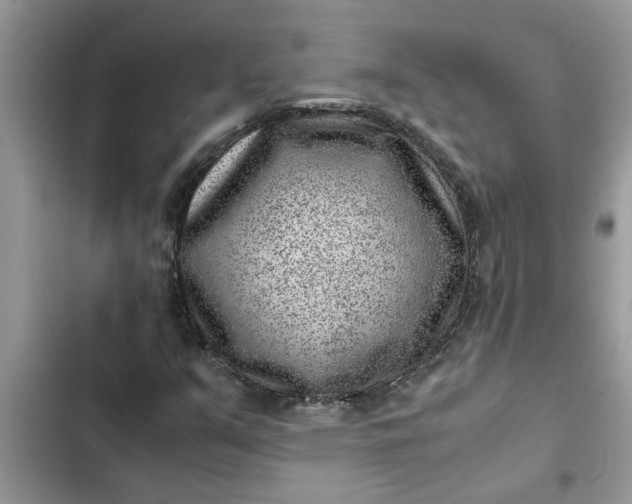 X0000102341351200808151718