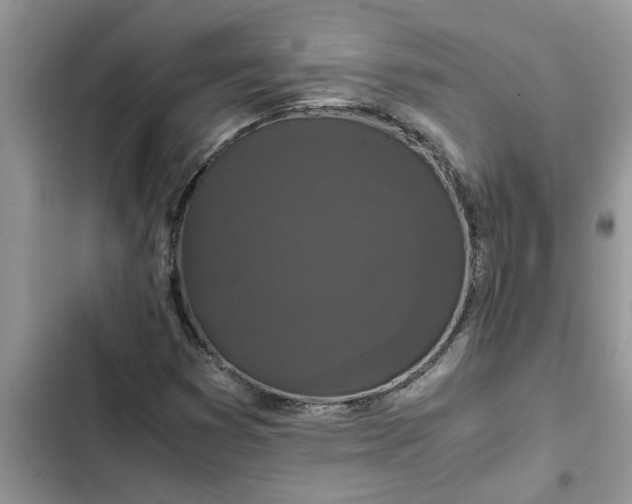 X0000102341353200808151718