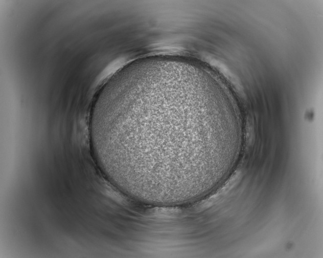 X0000102341354200808151718