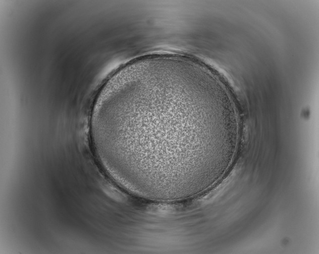 X0000102341355200808151718