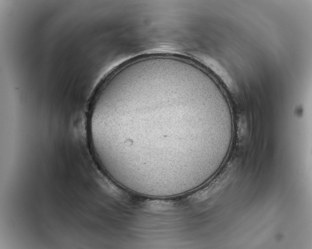 X0000102341356200808151718