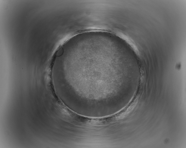 X0000102341357200808151718