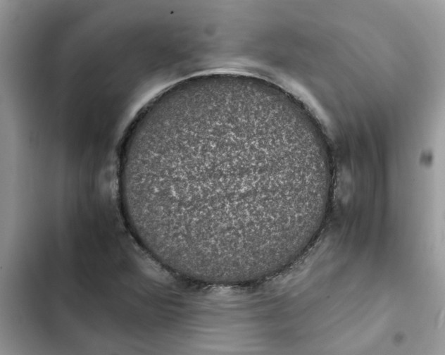 X0000102341360200808151718