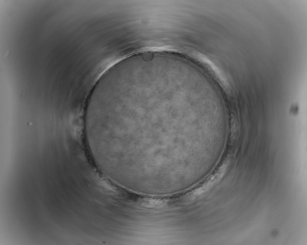 X0000102341361200808151718