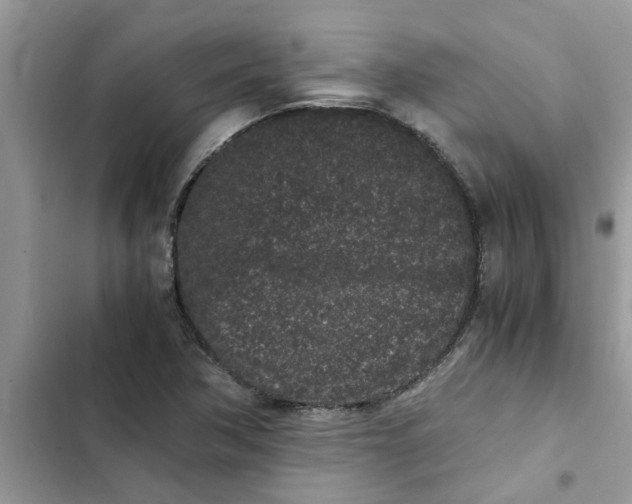 X0000102341362200808151718