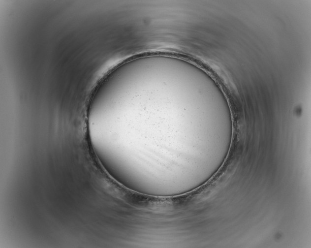 X0000102341363200808151718