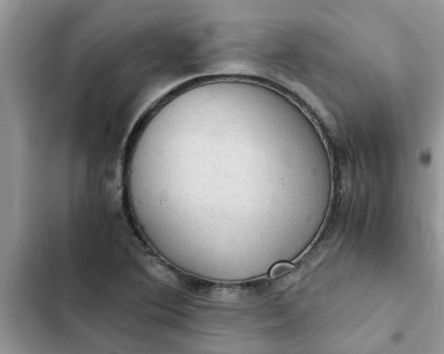 X0000102341364200808151718