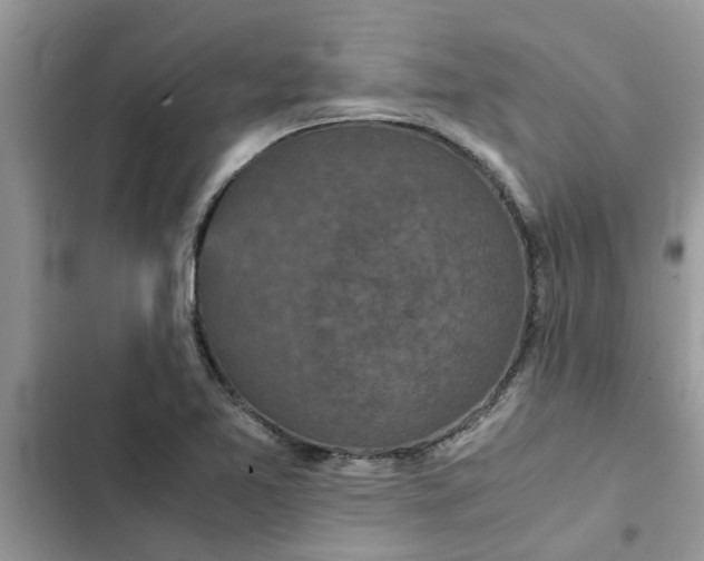 X0000102341365200808151718