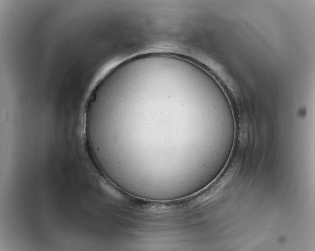 X0000102341366200808151718