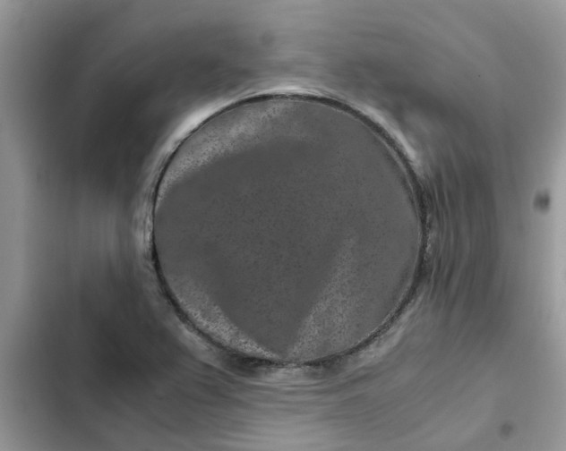 X0000102341367200808151718