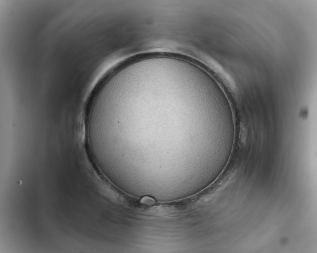 X0000102341368200808151718