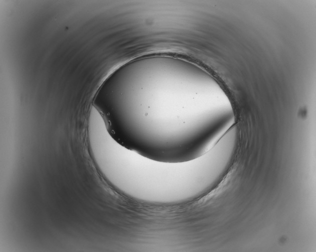 X0000102341369200808151718