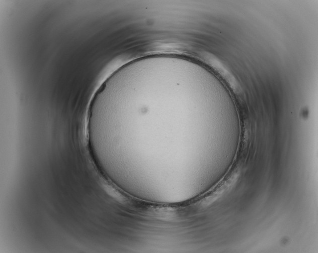 X0000102341370200808151718