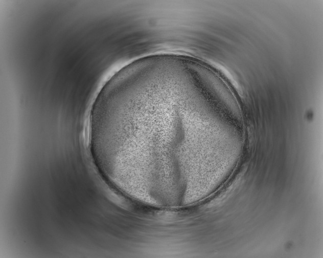 X0000102341371200808151718