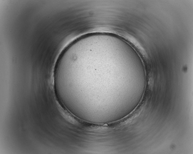 X0000102341372200808151718