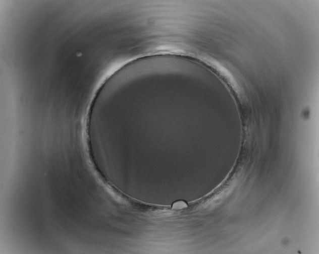 X0000102341373200808151718