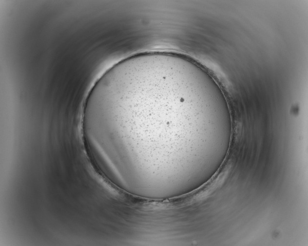 X0000102341374200808151718