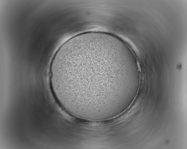 X0000102341375200808151718