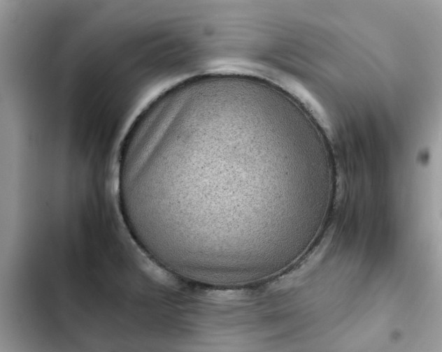 X0000102341376200808151718