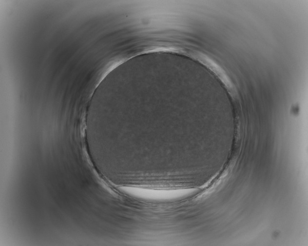 X0000102341377200808151718