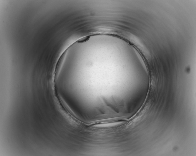 X0000102341378200808151718