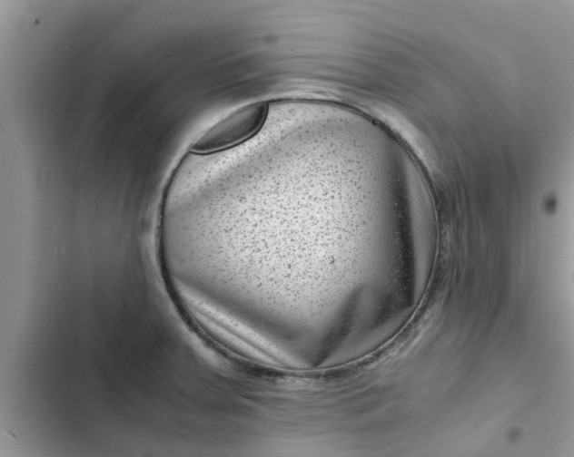 X0000102341379200808151718