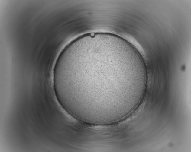 X0000102341380200808151718