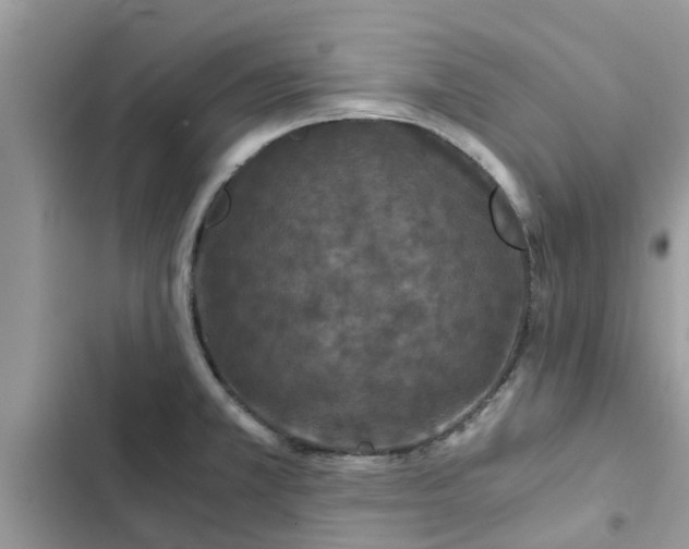 X0000102341381200808151718