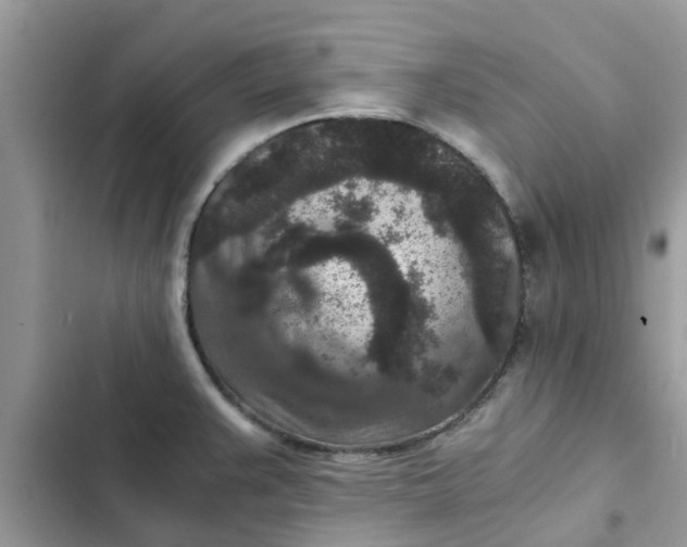 X0000102341383200808151718