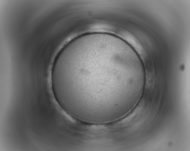 X0000102341384200808151718