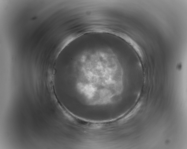 X0000102341385200808151718