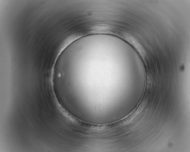 X0000102341386200808151718